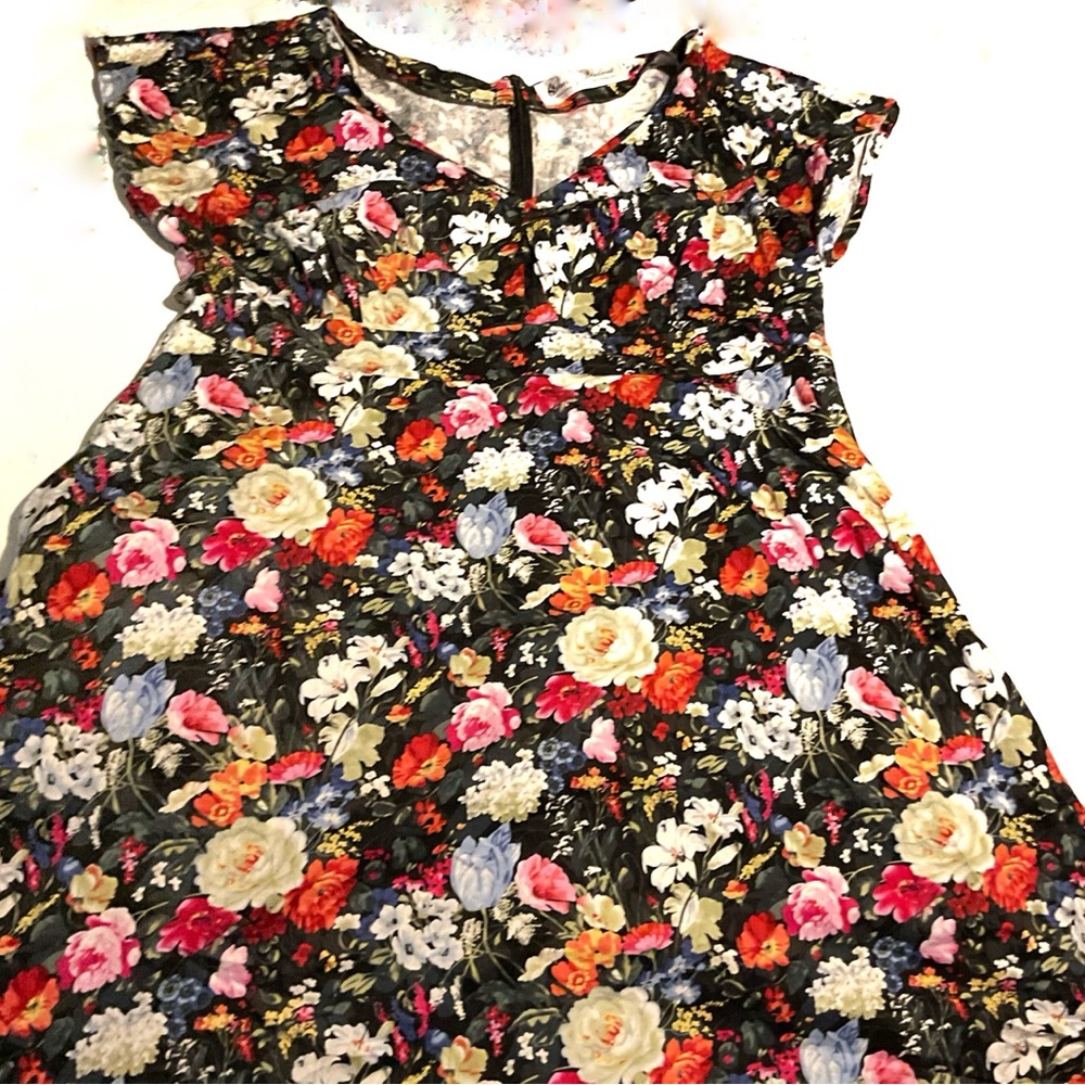 Plus size pinup 2x dress by Cherry Velvet Floral Woman’s Dress- Multicolor
